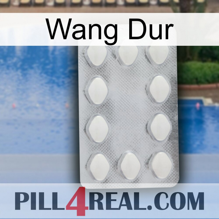 Hard Wang 16
